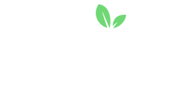 Fruity Casa Casino